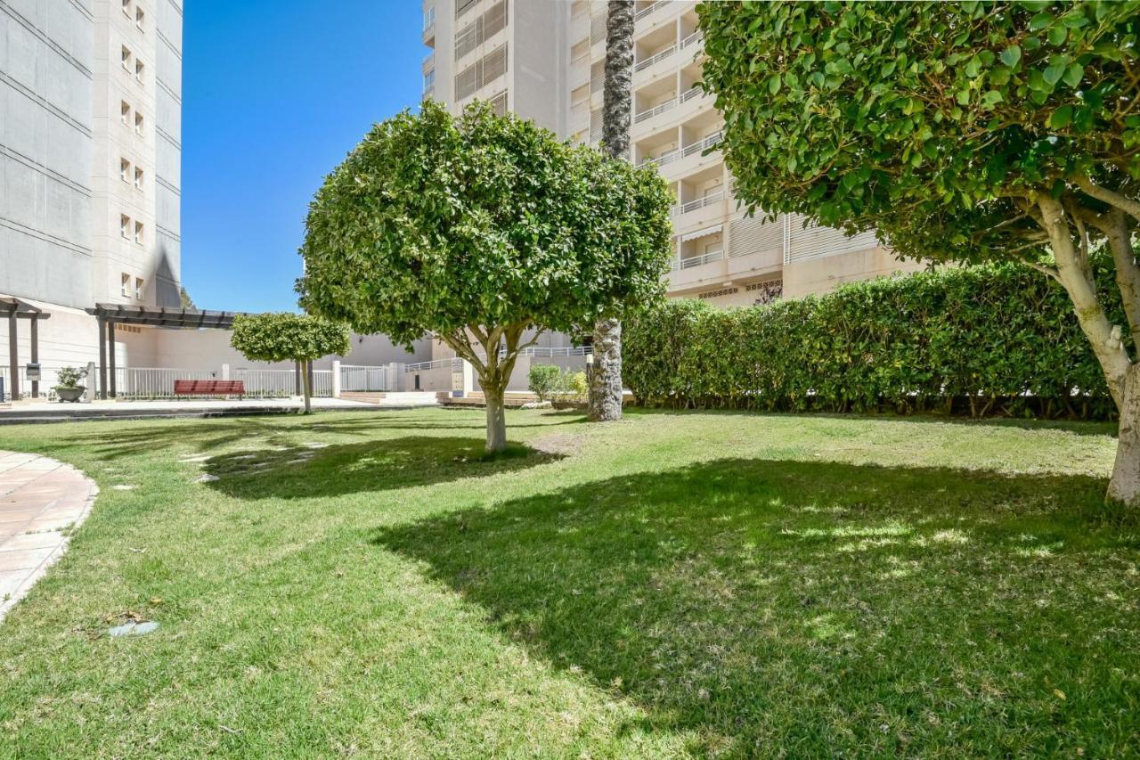 Homeincalpe Apolo XVII 1-2-5 Bagian luar foto